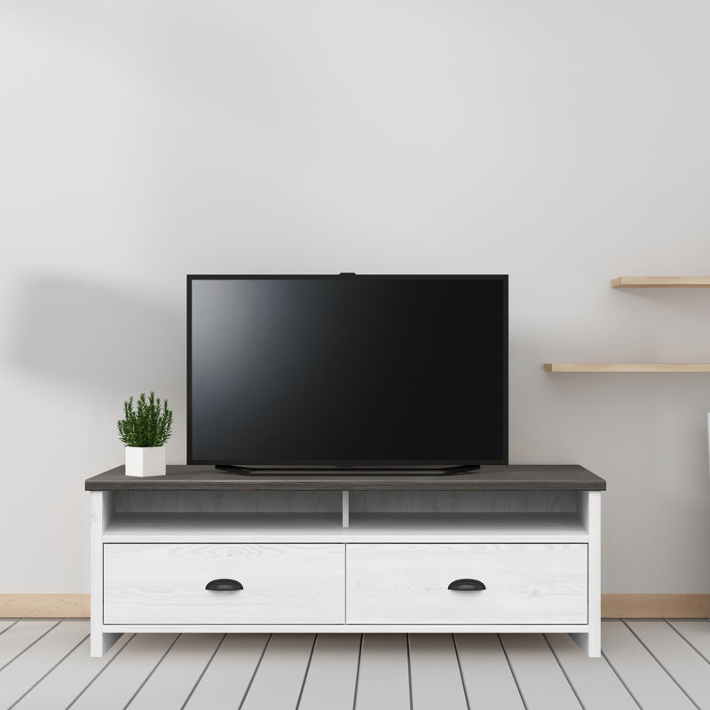 Eagan TV Stand with Storage