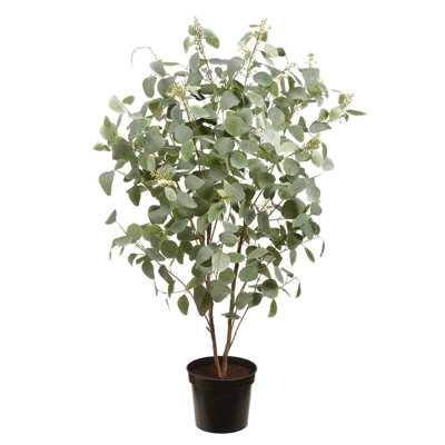 67 po. Plante en pot