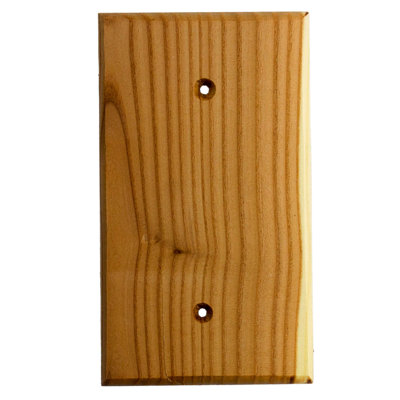 Traditional No Subject 1 - Gang Blank Wall Plate