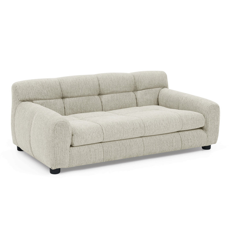 Canapé doux et confortable avec dossier et accoudoirs, adapté aux canapés rectangulaires modernes pour petits et moyens chiens