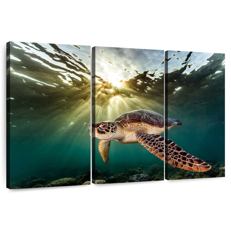Rare Green Sea Turtle, 20" H x 33" W