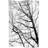 Winter Woods Canvas Room Divider-125361728