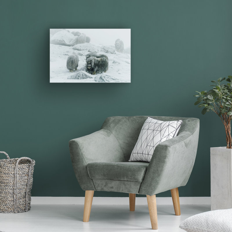 Art sur toile «Bachelor» par Giuseppe Damico, H 16 po x l 24 po