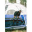 Stansport Robuste Lit de camp-97167896