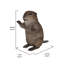 STATUE DE CUB AMERICAN BEAVER CUB