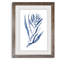 « algues under water iii »-cadre photo imprimé sur verre-2484620-2484618