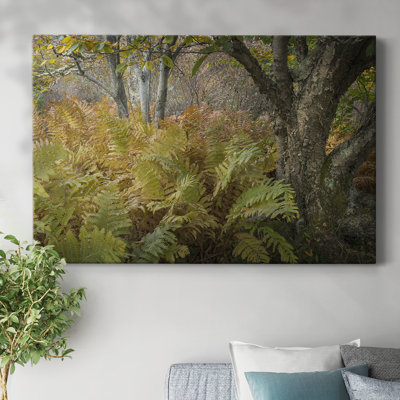 Autumn Ferns-Gallery Wrapped Canvas