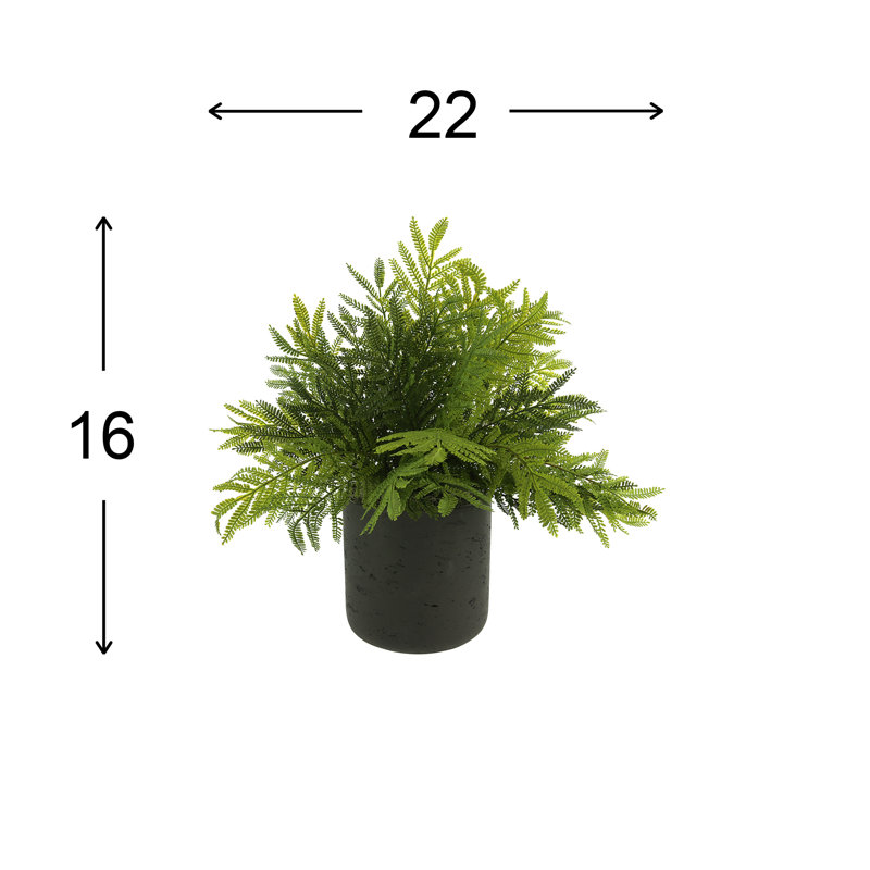 Pot à autruche Kenley