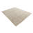 Nathaniel Beige Rug