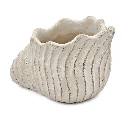 Sand and Cement Nautilus Shell Planter with Textured Beige Finish