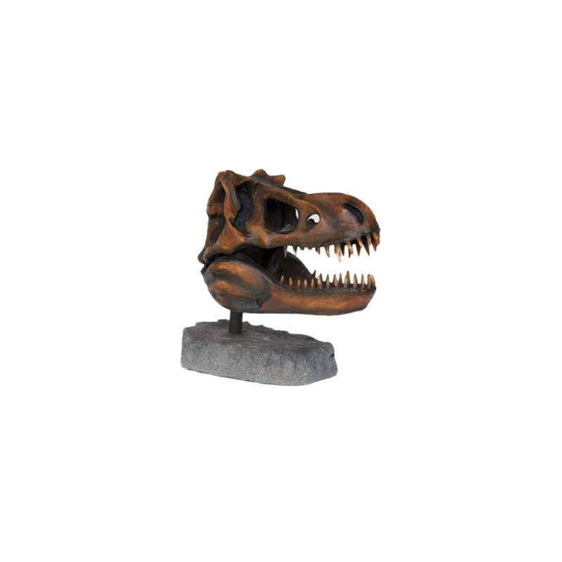 Jaiveer Dinosaur Skull Head Statue