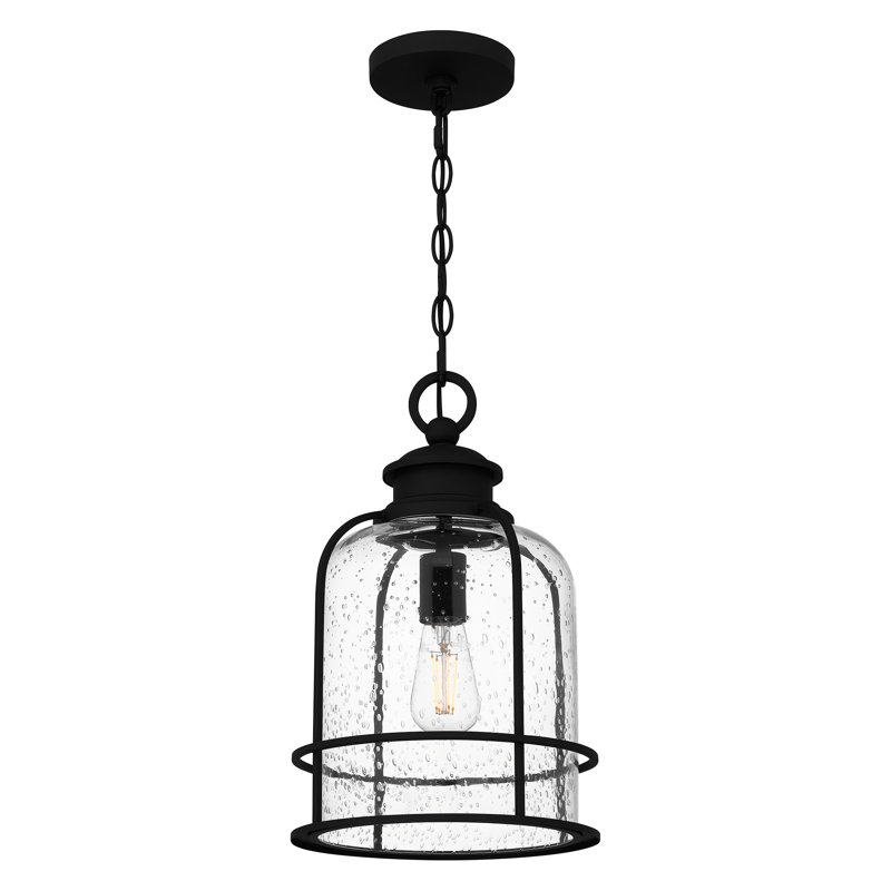 Aanijah 1 - Light Other Lantern Pendant