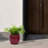 Of 3 Red Ceramic Planters For Different Settings, Contemporary Style With Glossy Finish, Weather , Built-In Drainage Root Growth, 14.89" L W 12.74" H, 47.56 Lbs In Bean Paste Red, Modern Various-734830752