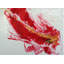 Birds of Paradise Painting