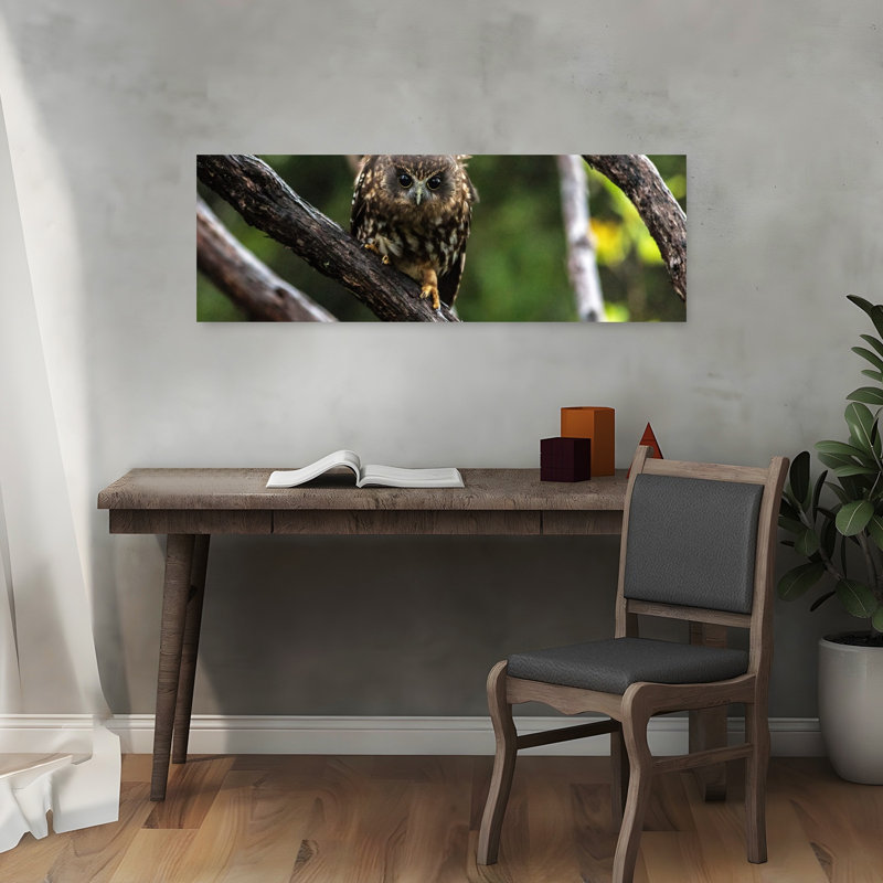 Oiseau hibou contemporain, H 12 po x l 36 po
