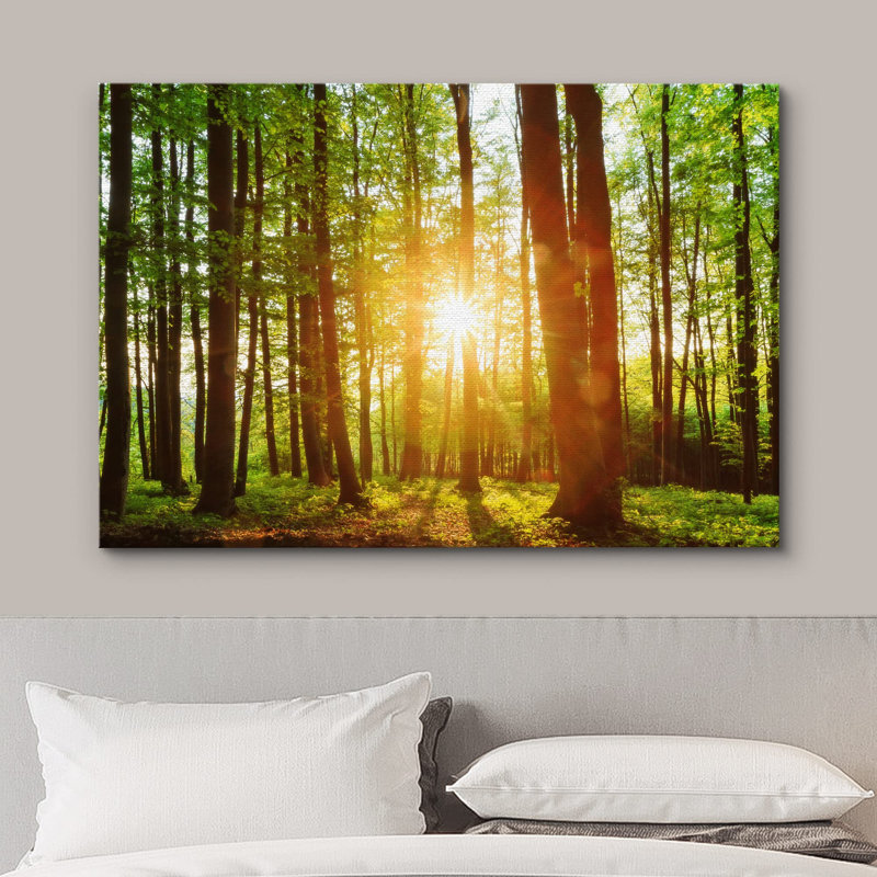 Paysage naturel au lever du soleil sur la forêt verte, Toile tendue, H 16 po x l 24 po x P 1,5 po