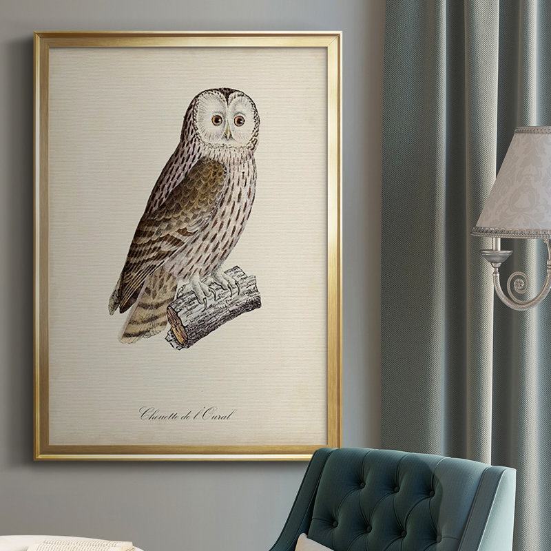 French Owls V, impression sur papier encadrée, Or, H 42,5 po x l 30,5 po x P 1 po