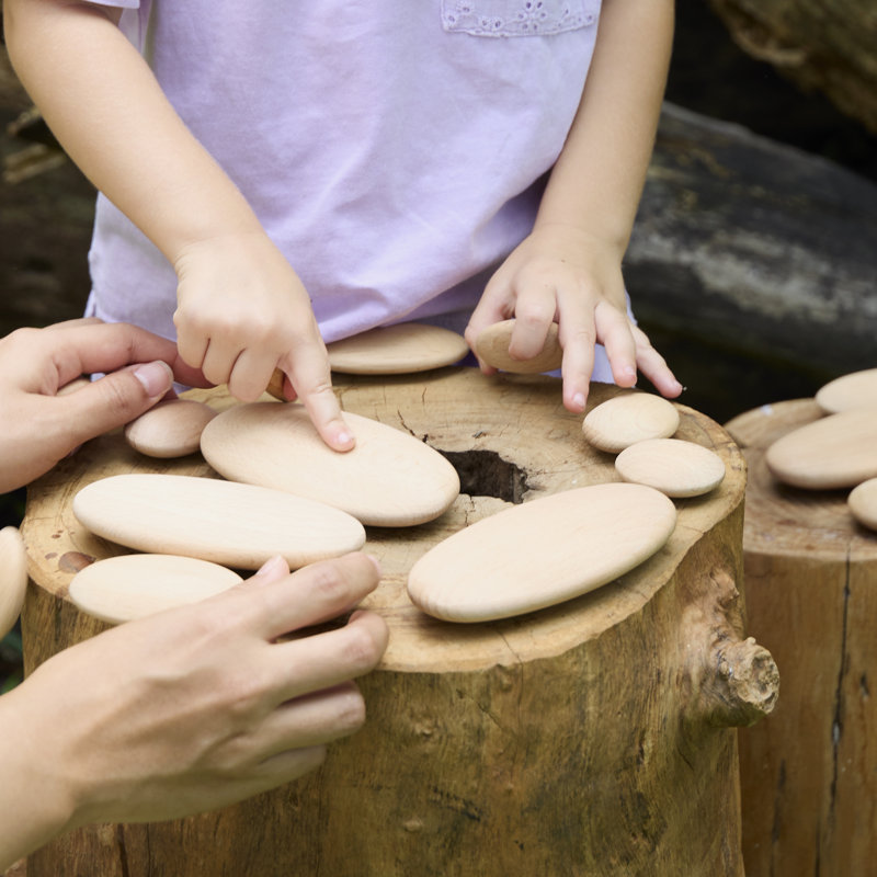 Wood Stackers Learning Tools
