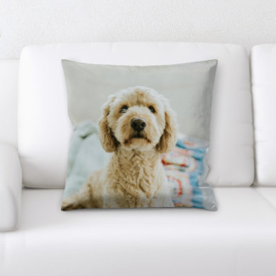 Coussin pour chien