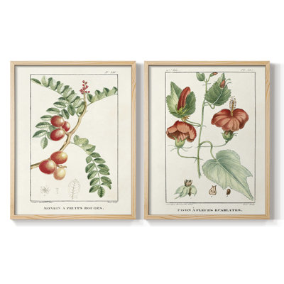 «Turpin Tropical Botanicals III», reproduction encadrée de qualité supérieure - prête à être accrochée - aucun clou requis - aucun clou requis