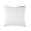 Coussin intérieur 24 po x 24 po