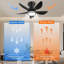 Ceiling Fan with LED Lights