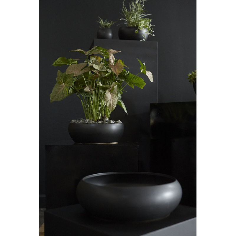 Bol bas Elyse Simply, Noir, H 4,5 po x l 13,75 po x P 13,75 po