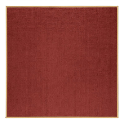 Machine Washable Solid Brown Area Rug