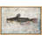 Fish " Black Bullhead Fish On Granite Background Marine Life Animals Realism Nautical Ultra "-97558598-97558597