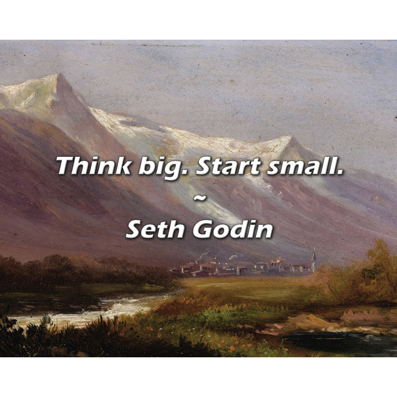Seth Godin Quote: Think big. Start small.