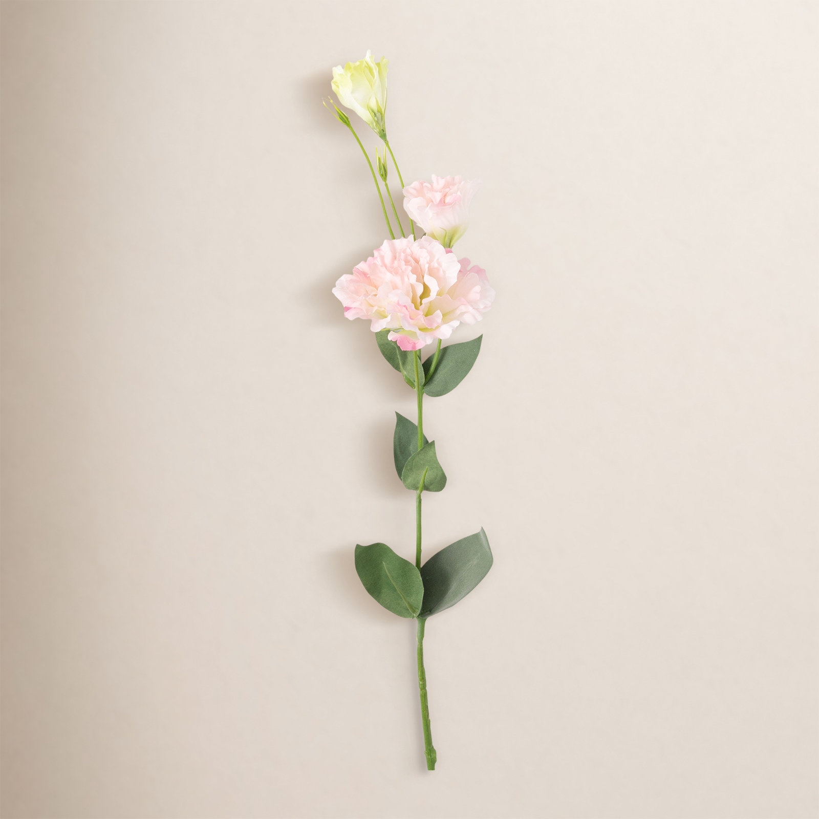 Lisianthus Floral Stems, Pink