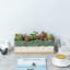 12 Inch Indoor Ceramic Planter with Tray
