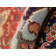 Kerri Oriental Area Rug in Rust