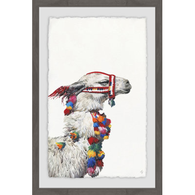 'Confident Llama' Framed Print on Paper