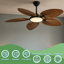 Ventilateur de plafond 52 po Tropical