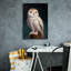 Toile épique Graffiti «Owl King 2» par Lucia Heffernan, 18 po x 26 po-979247655