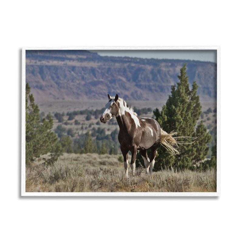 Wild Horse Southwestern Landscape Canyon Cliff par - impression, Giclée encadrée blanc bord de mer