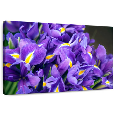 Harnek Violet Irises