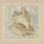 Watercolor Shell 3 Painting