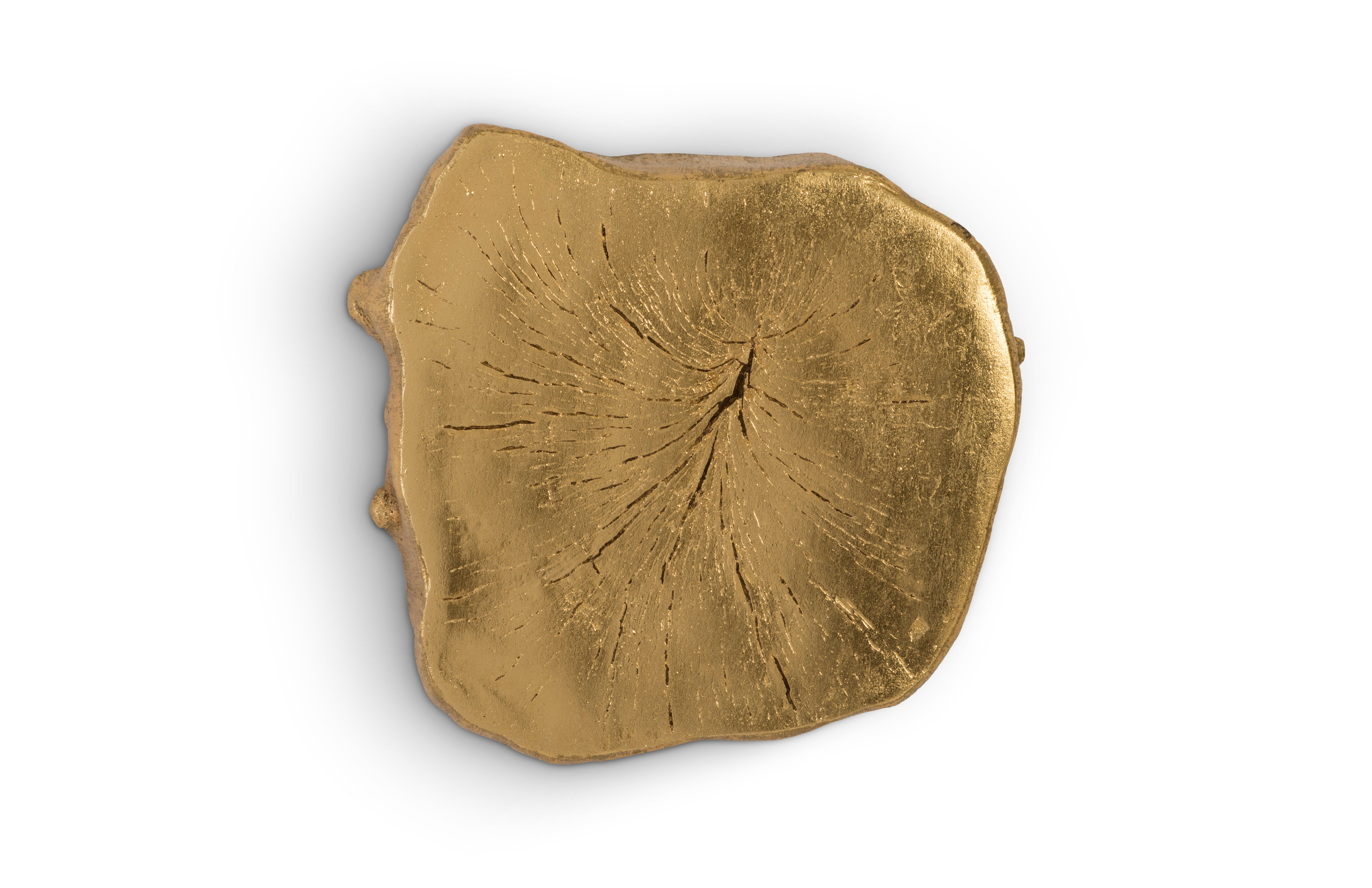 Phillips Collection Log Wall Tile & Reviews Wayfair