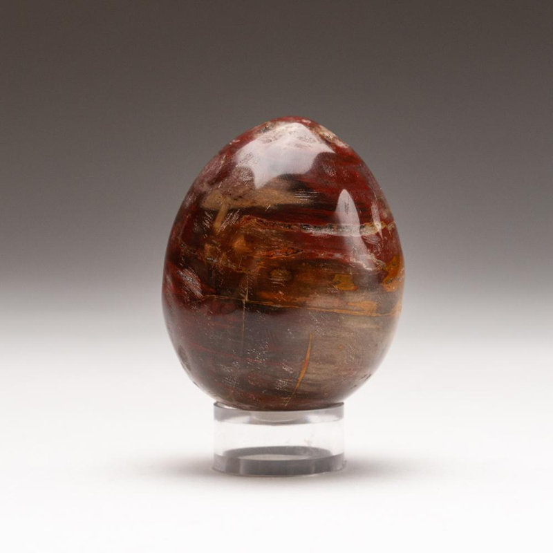 Petrified Wood Egg, 2" H x 1.75" W x 1.75" D, Orange/Yellow/Brown
