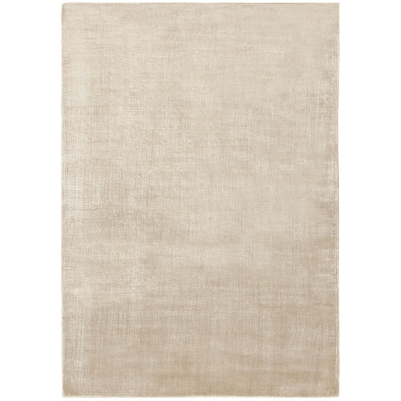 Endora Hand Loomed Viscose Area Rug, Rectangle 2' x 3'