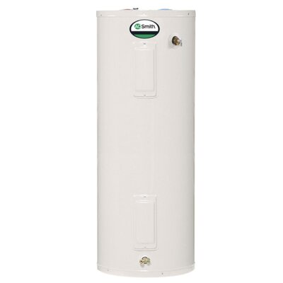 ProMax ECT-66 240V 55 Gallon Electric Storage Tank Water Heater -  A.O. Smith, 063-3184