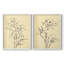 «Magnolia S croquis I», reproduction encadrée de qualité supérieure - prête à être accrochée - aucun clou requis - aucun clou requis-108034764-108034762