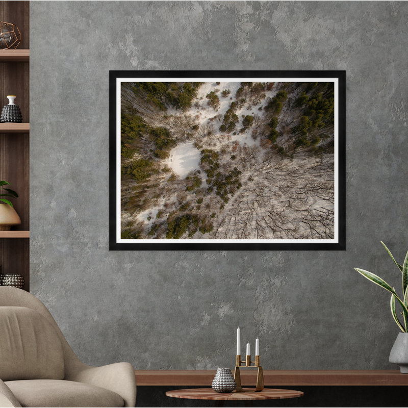 Tree Tops II Print by Tim Klein