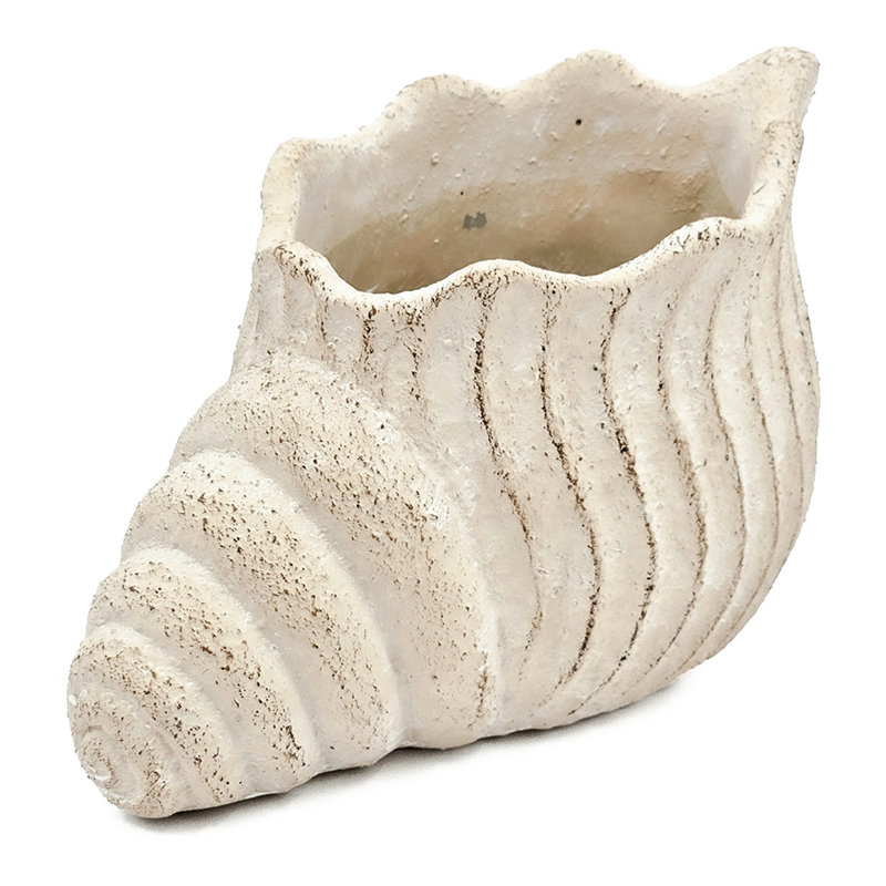 11.5X7x7 Inches Sand And Cement Shell Planter To Bring A Coastal Atmosphere Your Lounge