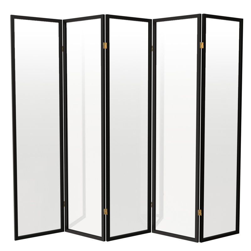 Cloison en plastique transparent Alayzhia, Noir, 6, 6 pi