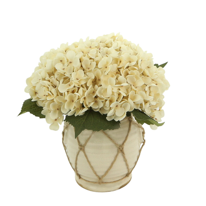 Hydrangea in Distressed Glaze Planter