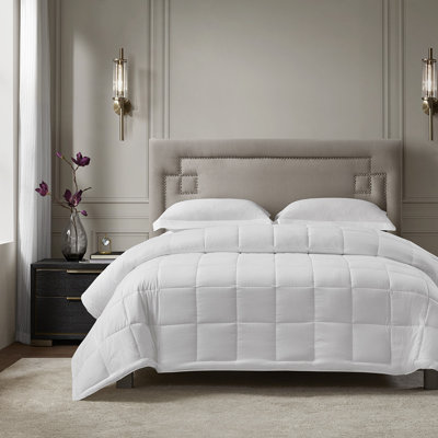 White Brushed Antimicrobial All Season Essential Full/Queen Blanket