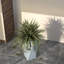 Pot à fleurs Yarisma-1389491140-1389491143